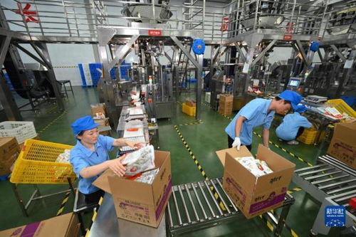 中國首次進口肯尼亞野生鳀魚產(chǎn)品亮相中非經(jīng)貿(mào)博覽會