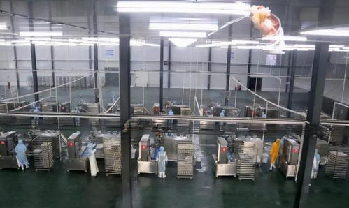 投資超2.5億 今年,長(zhǎng)葛西南部要建一個(gè)商貿(mào)城 一個(gè)食品產(chǎn)業(yè)園